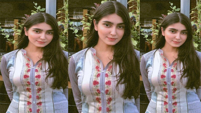 Beautiful Horny GF showing Boobs Pussy